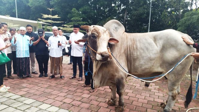
					Rudy Susmanto Bagikan 48 Ekor Sapi Kurban dari Prabowo untuk Warga Babakan Madang