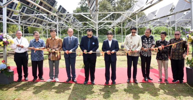 
					IPB University Resmikan Agri-Photovoltaic Research Station Pertama di Indonesia