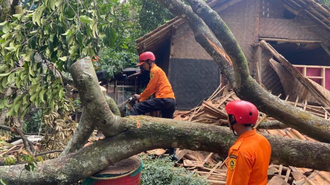 
					Rumah Warga di Jonggol Ambruk Tertimpa Pohon, BPBD: Akibat Diterjang Angin Kencang