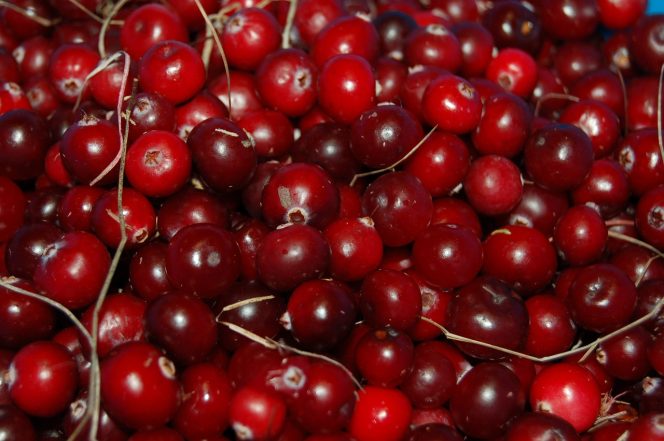 
					Inilah Daftar Buah Paling Sehat untuk Penuhi Asupan Gizi Harian yang Bisa Kamu Coba
