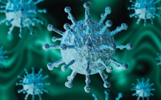 
					Dinkes Kabupaten Bogor Buka Suara Terkait 4 Orang di Jabar Terinfeksi Virus HMPV, Minta Masyarakat