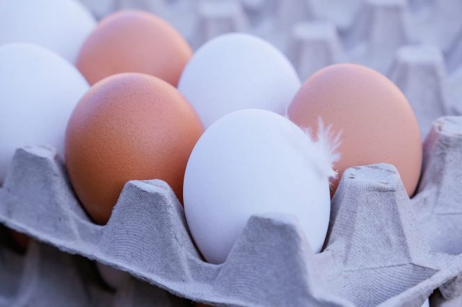 
					Pakar IPB Ungkap Telur Ayam Tak Cuma Warna Cokelat dan Putih, Bisa Juga Berwarna-warni, Ini Penjelasannya