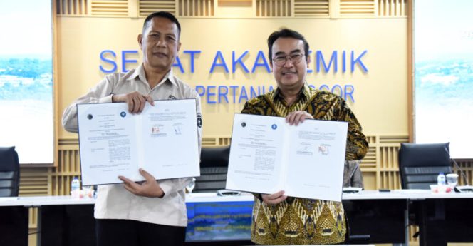 
					IPB University dan RoeKI Teken MoU, Siap Kembalikan Kejayaan Kelapa di Indonesia