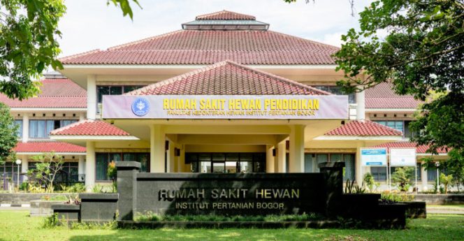 
					Bingung Titip Hewan Saat Mudik? Ini Jawaban RSHP IPB University