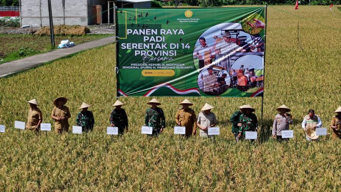 
					Bupati Bogor Rudy Susmanto Panen Raya Padi di Jonggol: Dukung Ketahanan Pangan