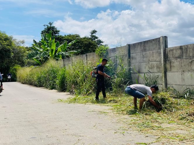 
					Diacuekin UPT Jajem Wilayah Parung, Katar Se-Desa Pondok Udik Bersihkan Rumput Ilalang di Jalan Jampang-Hambulu