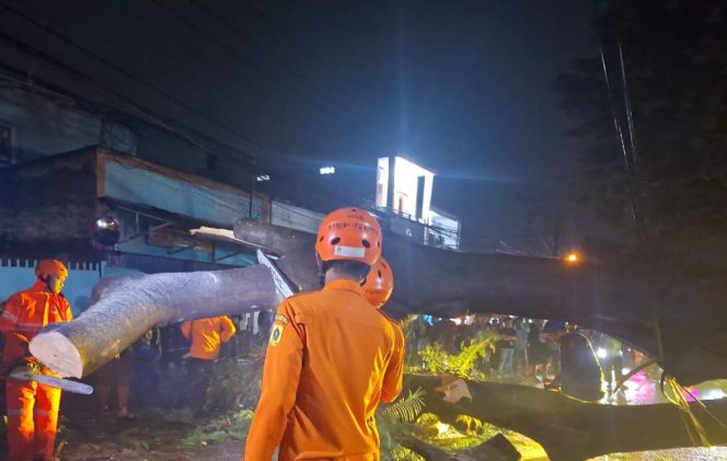 
					3 Orang Luka-luka Tertimpa Pohon Tumbang di Gunung Putri