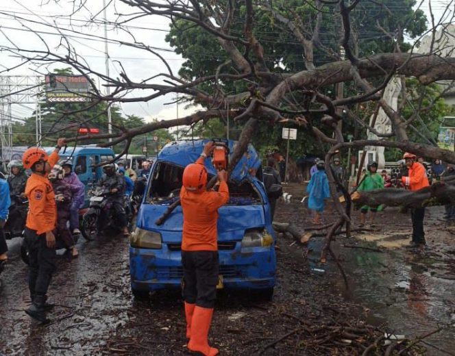 
					Tertimpa Pohon Tumbang,Angkot dan 2 Motor Ringsek di Cibinong, 3 Orang Terluka