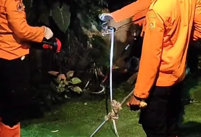 
					Masuk Pekarangan Rumah Warga di Cibinong, Ular Kobra 1 Meter Berhasil Dievakuasi BPBD
