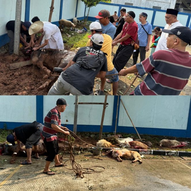 
					PWI Kabupaten Bogor Sembelih 1 Ekor Sapi dan 7 Ekor Kambing pada Idul Adha 1446 Hijriah