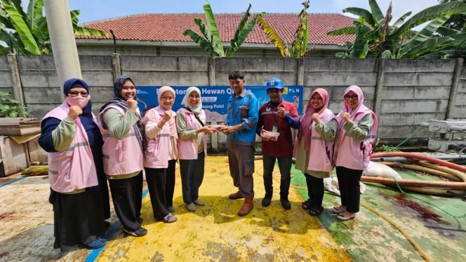 
					Idul Adha 2025, Srikandi PLN Gunung Putri Potong 10 Hewan Kurban