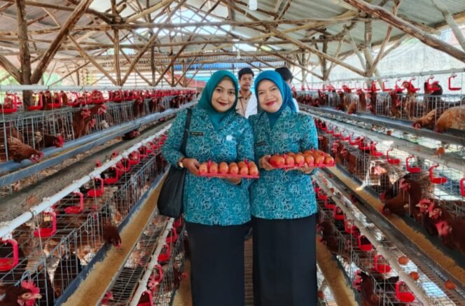 
					TP PKK Kecamatan Kemang Panen Telur Ayam di Desa Pondok Udik