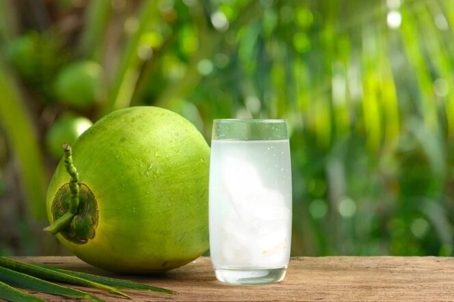 
					Bolehkah Air Kelapa Dikonsumsi Setiap Hari? Ini Penjelasan Dosen IPB University