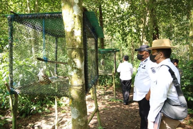 
					Bupati Rudy Susmanto Kunjungi Pusat Suaka Satwa Elang Jawa di Cigombong, Sampaikan Hal Ini