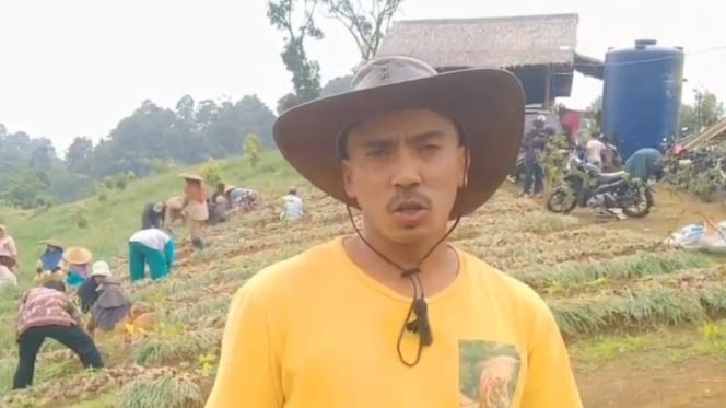 
					Bawang Merah Sukajaya Tembus Papua, Panen Capai 40 Ton