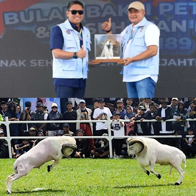 
					Adu Domba hingga Pameran UMKM Ramaikan Peringatan Hari Peternakan dan Kesehatan Hewan ke-189 di Pakansari