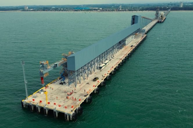 
					Semester I 2025, SBI Catat Laba Rp266 Miliar Berkat Efisiensi dan Transformasi Hijau