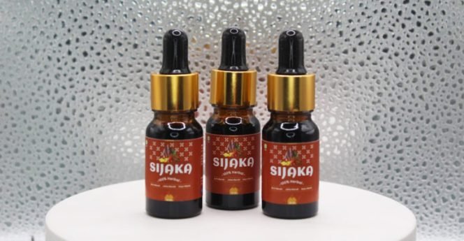 
					Sijaka, Inovasi Prof Mega Safithri yang Ampuh Atasi Diabetes