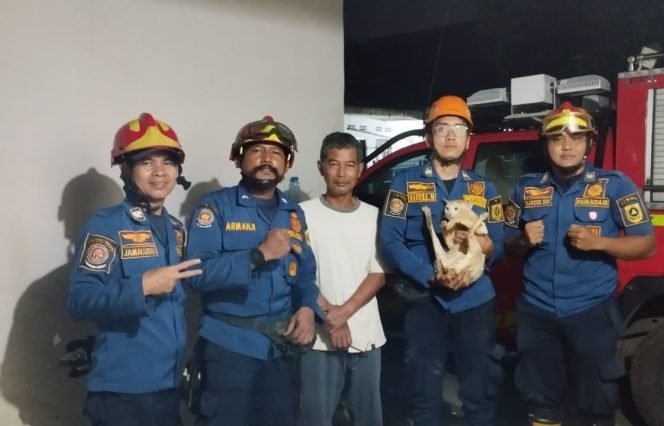 
					Damkar Kabupaten Bogor Evakuasi Kucing dari Sumur di Cikarawang Dramaga