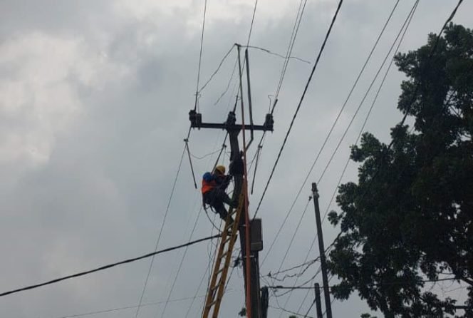 
					PLN UP3 Gunung Putri Perkuat Jaringan Lewat Pemeliharaan Penyulang Punai