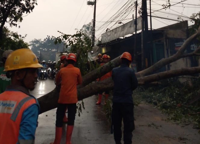 
					Didominasi Angin Kencang, Kabupaten Bogor Alami 50 Bencana dalam Selama 3 Hari
