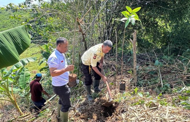 
					Perkuat Pengamanan Aset Milik Pemerintah dan Pelestarian Alam, Pemcam Cariu Tanam Pohon Mahoni