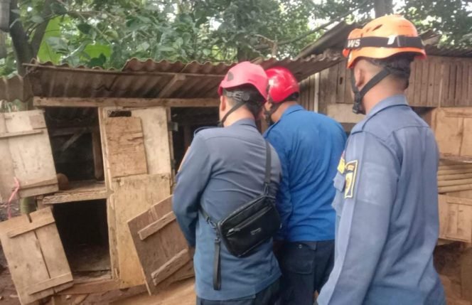 
					Damkar Kabupaten Bogor Evakuasi Sanca Batik 4 Meter yang Sedang Makan Ayam di Bojonggede